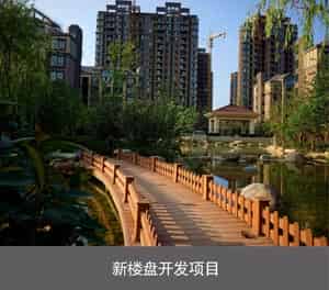 簡易升降PJS俯仰式機(jī)械立體車庫新樓盤開發(fā)項(xiàng)目